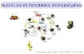 Nutrition et fonctions immunitaires Immunologie, 4ème année - option officine, 21 mars 2007.