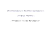 Droit institutionnel de lUnion européenne Droits de lhomme Professeur Nicolas de Sadeleer.