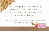 Les Projets de 2012 : Formations FROTSI, prochaines réunions des commissions Lucile Pinault, animatrice réseau de lUDOTSI du Cher.