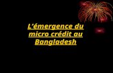 Lémergence du micro crédit au Bangladesh. Chiffre 2004 : Population : 133,6 Millions dhabitants (8 e rang mondial) IDH : 0.502 (139 e sur 175)