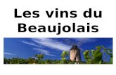 Les vins du Beaujolais. 25/03/2011 Préambule La Bourgogne viticole regroupe lensemble des vignobles bourguignons produisant des vins dappellation dorigine.