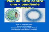 Plan de lutte contre une « pandémie grippale » Jeudi 10 novembre 2005 Geneviève Giraudeau Laboratoire de virologie, CHU Poitiers Coordination GROG Poitou-Charentes.