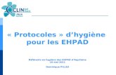 « Protocoles » dhygiène pour les EHPAD Référents en hygiène des EHPAD dAquitaine 10 mai 2011 Dominique PILLES.