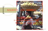 NOURRIR LES HOMMES Etude de cas : le défi alimentaire en Inde Manuel p 54 à 83. P.Boutet.septembre 2006.