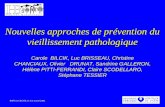 Nouvelles approches de prévention du vieillissement pathologique Carole BILCIK, Luc BRISSEAU, Christine CHANCIAUX, Olivier DRUNAT, Sandrine GALLERON, Hélène.