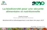 La biodiversité pour une sécurité alimentaire et nutritionnelle Emile Frison Directeur général, Biodiversity International Biodiversité et développement.
