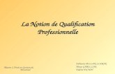 La Notion de Qualification Professionnelle Fabienne BILLON-CLERIN Alexis GARILLON Valérie PICHOT Master 2 Droit et Gestion du Personnel.