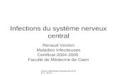 Cours Pathologie Infectieuse DCEM 2 06-07 Infections du système nerveux central Renaud Verdon Maladies Infectieuses Certificat 2004-2005 Faculté de Médecine.