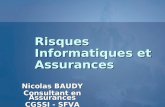 Risques Informatiques et Assurances Nicolas BAUDY Consultant en Assurances CGSSI - SFVA