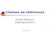 Amalia Todirascu1 Chaînes de références Amalia Todirascu todiras@unistra.fr.