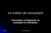 S. Monfort.  Le métier de consultant Intervention et diagnostic du consultant en entreprise.