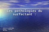 Les pathologies du surfactant : Reims le 14/03/2006 Leroy L, interne Néo-Nat.