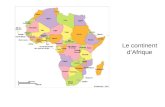 Le continent dAfrique. Le palmier à huile Le Congo démocratique (RDC)