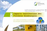 Impacts territoriaux des filières bioénergies 8 Les critères et échelles à considérer, les exemples de questions à se poser Ce support a été réalisé avec.