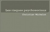 Christian Michelot 1. Repères 2 3 Les RPS, cest une question qui apparaît en France à partir du livre de MF Irrigoyen (1998). 1/3 des salariés européens.