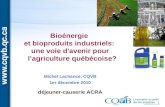Bioénergie et bioproduits industriels: une voie d'avenir pour lagriculture québécoise? Michel Lachance, CQVB 1er décembre 2010 déjeuner-causerie ACRA.
