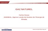 CARBURANTS ET VEHICULES ALTERNATIFS  GAZ NATUREL Carlos Sousa AGENEAL, Agence Locale de Gestion de lEnergie de Almada.