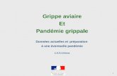 1 Grippe aviaire Et Pandémie grippale Données actuelles et préparation à une éventuelle pandémie C.H.R.Orléans.
