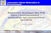 PCB et lacs1 Réactivité abiotique des PCB dans lenvironnement : application aux écosystèmes lacustres E. Naffrechoux Laboratoire Chimie Moléculaire et.