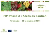 . PIP Phase 2 : Accès au soutien Grenade – 19 octobre 2010.