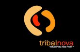 Tribal Nova logo. Habitudes de consommation média des jeunes Changement de loffre et des paramètres industriels.