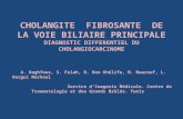 CHOLANGITE FIBROSANTE DE LA VOIE BILIAIRE PRINCIPALE DIAGNOSTIC DIFFERENTIEL DU CHOLANGIOCARCINOME A. Daghfous, S. Felah, R. Ben Khélifa, M. Maarouf, L.