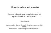 Particules et santé Bases physiopathogéniques et questions en suspend P Brochard Laboratoire Santé Travail Environnement (EA 3672) Université Victor Segalen.