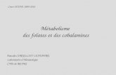 Métabolisme des folates et des cobalamines Pascale CORNILLET-LEFEBVRE Laboratoire dHématologie CHU de REIMS Cours DCEM1 2009-2010.