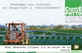 CRPHYTO 1999 Protéger ses cultures en respectant l environnement Une initiative financée par la Direction générale de l agriculture du Ministère de la.