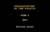 VASCULARISATION DU TUBE DIGESTIF PCEM 2 2011 Olivier Ernst.