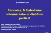 RRL 2007 1 Pancréas, Métabolisme intermédiaire et diabètes partie II Rémi Rabasa-Lhoret M.D, Ph.D Professeur PTG, Directeur unité métabolique, Département.