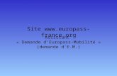 Site  Assistant « Demande dEuropass-Mobilité » (demande dE.M.)