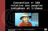 Peuples indigènes et tribaux |  |  Convention n o 169 relative aux peuples indigènes et tribaux.