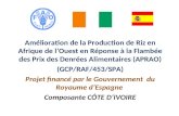 Amélioration de la Production de Riz en Afrique de lOuest en Réponse à la Flambée des Prix des Denrées Alimentaires (APRAO) (GCP/RAF/453/SPA) Projet financé