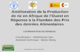 Amélioration de la Production de riz en Afrique de lOuest en Réponse à la Flambée des Prix des denrées Alimentaires COORDINATION DU SENEGAL Coordinateur.