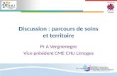 Faculté de Médecine Limoges Discussion : parcours de soins et territoire Pr A Vergnenegre Vice président CME CHU Limoges.