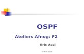 AFNOG 2006 OSPF Ateliers Afnog: F2 Eric Assi. AFNOG 2006 OSPF : Chapitre 1 INTRODUCTION AUX IGPs.