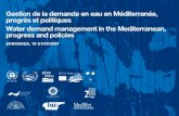Coopération internationale et aide au développement dans le secteur de leau en Méditerranée Etude réalisée par Georges CORM Georges Corm Economic & Financial.