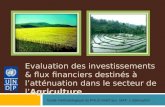 Evaluation des investissements & flux financiers destinés à latténuation dans le secteur de lAgriculture Guide méthodologique du PNUD relatif aux I&FF: