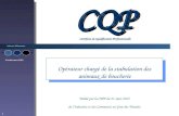 Industries Alimentaires Version mars 2012 1 CQP CQP Certificat de Qualification Professionnelle Validé par la CMP du 21 mars 2012 de lIndustrie et des.