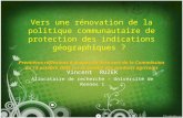 Vers une rénovation de la politique communautaire de protection des indications géographiques ? Premières réflexions à propos du livre vert de la Commission.