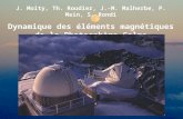 J. Moity, Th. Roudier, J.-M. Malherbe, P. Mein, S. Rondi Dynamique des éléments magnétiques de la Photosphère Calme.