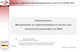 Pastoralisme: Mécanismes et réglementations daccès aux ressources pastorales au Mali Bamako, mars 2010 Par:Nouhoum Sanogo Dr. Godihald Mushinzimana Division.