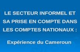 LE SECTEUR INFORMEL ET SA PRISE EN COMPTE DANS LES COMPTES NATIONAUX : Expérience du Cameroun.