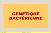 Octobre 2007Génétique bactérienne1 G É N É TIQUE BACT É RIENNE.