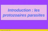 Vendredi 10 janvier 20141 Introduction : les protozoaires parasites.