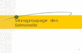 Sérogroupage des Salmonella 1. 2 POURQUOI ? Obtenir la formule antigénique qui désigne le SEROVAR, seul moyen de préciser lidentification dune Salmonella.