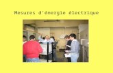 Mesures dénergie électrique. Pendant le mois de février 2008 la classe IV du cours dElectrotechnique et Automation de lIIS « Da Vinci » de Florence a.