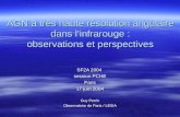 AGN à très haute résolution angulaire dans linfrarouge : observations et perspectives SF2A 2004 session PCHE Paris 17 juin 2004 Guy Perrin Observatoire.