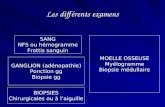 Les différents examens SANG NFS ou hémogramme Frottis sanguin GANGLION (adénopathie) Ponction gg Biopsie gg MOELLE OSSEUSE Myélogramme Biopsie médullaire